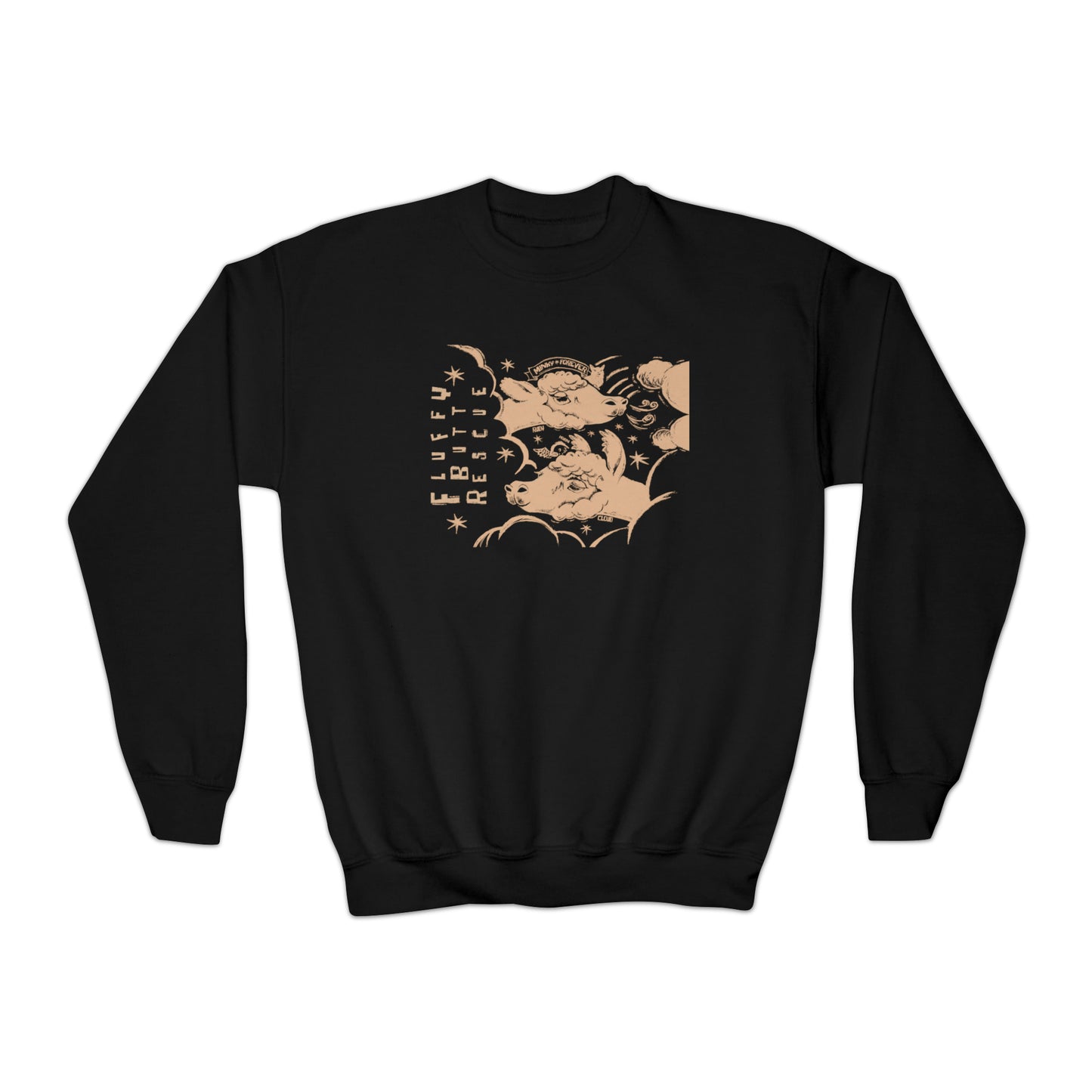 Youth Crewneck Sweatshirt